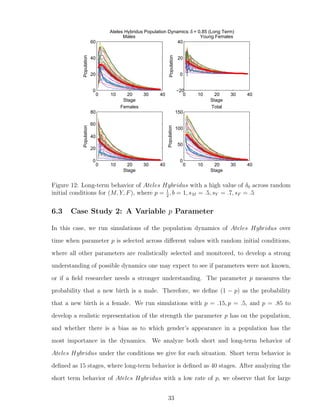 0 10 20 30 40
0
20
40
60
Stage
Population
Males
0 10 20 30 40
−20
0
20
40
Stage
Population
Young Females
0 10 20 30 40
0
20
40
60
80
Stage
Population
Females
0 10 20 30 40
0
50
100
150
StagePopulation
Total
Ateles Hybridus Population Dynamics:δ = 0.85 (Long Term)
Figure 12: Long-term behavior of Ateles Hybridus with a high value of δ0 across random
initial conditions for (M, Y, F), where p = 1
2
, b = 1, sM = .5, sY = .7, sF = .5
6.3 Case Study 2: A Variable p Parameter
In this case, we run simulations of the population dynamics of Ateles Hybridus over
time when parameter p is selected across diﬀerent values with random initial conditions,
where all other parameters are realistically selected and monitored, to develop a strong
understanding of possible dynamics one may expect to see if parameters were not known,
or if a ﬁeld researcher needs a stronger understanding. The parameter p measures the
probability that a new birth is a male. Therefore, we deﬁne (1 − p) as the probability
that a new birth is a female. We run simulations with p = .15, p = .5, and p = .85 to
develop a realistic representation of the strength the parameter p has on the population,
and whether there is a bias as to which gender’s appearance in a population has the
most importance in the dynamics. We analyze both short and long-term behavior of
Ateles Hybridus under the conditions we give for each situation. Short term behavior is
deﬁned as 15 stages, where long-term behavior is deﬁned as 40 stages. After analyzing the
short term behavior of Ateles Hybridus with a low rate of p, we observe that for large
33
 