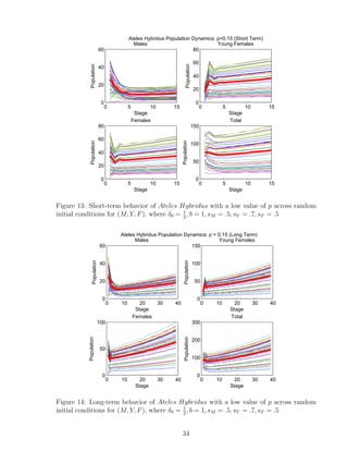 0 5 10 15
0
20
40
60
Stage
Population
Males
0 5 10 15
0
20
40
60
80
Stage
Population
Young Females
0 5 10 15
0
20
40
60
80
Stage
Population
Females
0 5 10 15
0
50
100
150
Stage
Population
Total
Ateles Hybridus Population Dynamics: p=0.15 (Short Term)
Figure 13: Short-term behavior of Ateles Hybridus with a low value of p across random
initial conditions for (M, Y, F), where δ0 = 1
2
, b = 1, sM = .5, sY = .7, sF = .5
0 10 20 30 40
0
20
40
60
Stage
Population
Males
0 10 20 30 40
0
50
100
150
Stage
Population
Young Females
0 10 20 30 40
0
50
100
Stage
Population
Females
0 10 20 30 40
0
100
200
300
Stage
Population
Total
Ateles Hybridus Population Dynamics: p = 0.15 (Long Term)
Figure 14: Long-term behavior of Ateles Hybridus with a low value of p across random
initial conditions for (M, Y, F), where δ0 = 1
2
, b = 1, sM = .5, sY = .7, sF = .5
34
 