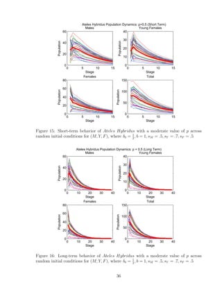 0 5 10 15
0
20
40
60
Stage
Population
Males
0 5 10 15
0
10
20
30
40
Stage
Population
Young Females
0 5 10 15
0
20
40
60
80
Stage
Population
Females
0 5 10 15
0
50
100
150
Stage
Population
Total
Ateles Hybridus Population Dynamics: p=0.5 (Short Term)
Figure 15: Short-term behavior of Ateles Hybridus with a moderate value of p across
random initial conditions for (M, Y, F), where δ0 = 1
2
, b = 1, sM = .5, sY = .7, sF = .5
0 10 20 30 40
0
20
40
60
Stage
Population
Males
0 10 20 30 40
0
10
20
30
40
Stage
Population
Young Females
0 10 20 30 40
0
20
40
60
80
Stage
Population
Females
0 10 20 30 40
0
50
100
150
Stage
Population
Total
Ateles Hybridus Population Dynamics: p = 0.5 (Long Term)
Figure 16: Long-term behavior of Ateles Hybridus with a moderate value of p across
random initial conditions for (M, Y, F), where δ0 = 1
2
, b = 1, sM = .5, sY = .7, sF = .5
36
 