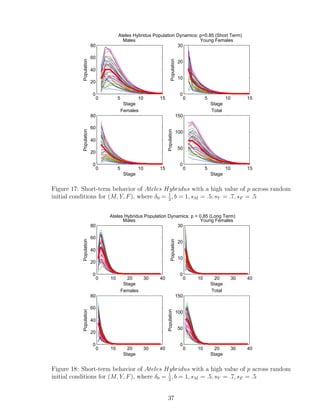 0 5 10 15
0
20
40
60
80
Stage
Population
Males
0 5 10 15
0
10
20
30
Stage
Population
Young Females
0 5 10 15
0
20
40
60
80
Stage
Population
Females
0 5 10 15
0
50
100
150
Stage
Population
Total
Ateles Hybridus Population Dynamics: p=0.85 (Short Term)
Figure 17: Short-term behavior of Ateles Hybridus with a high value of p across random
initial conditions for (M, Y, F), where δ0 = 1
2
, b = 1, sM = .5, sY = .7, sF = .5
0 10 20 30 40
0
20
40
60
80
Stage
Population
Males
0 10 20 30 40
0
10
20
30
Stage
Population
Young Females
0 10 20 30 40
0
20
40
60
80
Stage
Population
Females
0 10 20 30 40
0
50
100
150
Stage
Population
Total
Ateles Hybridus Population Dynamics: p = 0.85 (Long Term)
Figure 18: Short-term behavior of Ateles Hybridus with a high value of p across random
initial conditions for (M, Y, F), where δ0 = 1
2
, b = 1, sM = .5, sY = .7, sF = .5
37
 