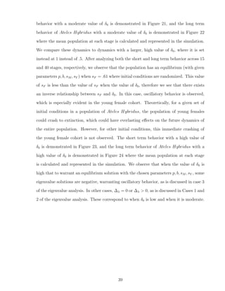 behavior with a moderate value of δ0 is demonstrated in Figure 21, and the long term
behavior of Ateles Hybridus with a moderate value of δ0 is demonstrated in Figure 22
where the mean population at each stage is calculated and represented in the simulation.
We compare these dynamics to dynamics with a larger, high value of δ0, where it is set
instead at 1 instead of .5. After analyzing both the short and long term behavior across 15
and 40 stages, respectively, we observe that the population has an equilibrium (with given
parameters p, b, sM , sY ) when sF = .61 where initial conditions are randomized. This value
of sF is less than the value of sF when the value of δ0, therefore we see that there exists
an inverse relationship between sF and δ0. In this case, oscillatory behavior is observed,
which is especially evident in the young female cohort. Theoretically, for a given set of
initial conditions in a population of Ateles Hybridus, the population of young females
could crash to extinction, which could have everlasting eﬀects on the future dynamics of
the entire population. However, for other initial conditions, this immediate crashing of
the young female cohort is not observed. The short term behavior with a high value of
δ0 is demonstrated in Figure 23, and the long term behavior of Ateles Hybridus with a
high value of δ0 is demonstrated in Figure 24 where the mean population at each stage
is calculated and represented in the simulation. We observe that when the value of δ0 is
high that to warrant an equilibrium solution with the chosen parameters p, b, sM , sY , some
eigenvalue solutions are negative, warranting oscillatory behavior, as is discussed in case 3
of the eigenvalue analysis. In other cases, ∆λ = 0 or ∆λ > 0, as is discussed in Cases 1 and
2 of the eigenvalue analysis. These correspond to when δ0 is low and when it is moderate.
39
 
