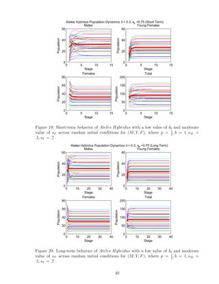 0 5 10 15
0
20
40
60
Stage
Population
Males
0 5 10 15
0
20
40
60
Stage
Population
Young Females
0 5 10 15
0
20
40
60
80
Stage
Population
Females
0 5 10 15
0
50
100
150
200
StagePopulation
Total
Ateles Hybridus Population Dynamics:δ = 0.3, sF
=0.75 (Short Term)
Figure 19: Short-term behavior of Ateles Hybridus with a low value of δ0 and moderate
value of sF across random initial conditions for (M, Y, F), where p = 1
2
, b = 1, sM =
.5, sY = .7
0 10 20 30 40
0
20
40
60
Stage
Population
Males
0 10 20 30 40
0
20
40
60
Stage
Population
Young Females
0 10 20 30 40
0
20
40
60
80
Stage
Population
Females
0 10 20 30 40
0
50
100
150
200
Stage
Population
Total
Ateles Hybridus Population Dynamics: δ = 0.3, sF
=0.75 (Long Term)
Figure 20: Long-term behavior of Ateles Hybridus with a low value of δ0 and moderate
value of sF across random initial conditions for (M, Y, F), where p = 1
2
, b = 1, sM =
.5, sY = .7
40
 