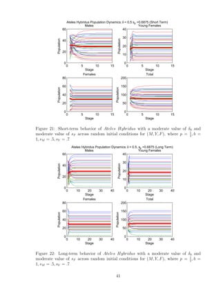 0 5 10 15
0
20
40
60
Stage
Population
Males
0 5 10 15
0
10
20
30
40
Stage
Population
Young Females
0 5 10 15
0
20
40
60
80
Stage
Population
Females
0 5 10 15
0
50
100
150
200
StagePopulation
Total
Ateles Hybridus Population Dynamics:δ = 0.5 sF
=0.6875 (Short Term)
Figure 21: Short-term behavior of Ateles Hybridus with a moderate value of δ0 and
moderate value of sF across random initial conditions for (M, Y, F), where p = 1
2
, b =
1, sM = .5, sY = .7
0 10 20 30 40
0
20
40
60
Stage
Population
Males
0 10 20 30 40
0
10
20
30
40
Stage
Population
Young Females
0 10 20 30 40
0
20
40
60
80
Stage
Population
Females
0 10 20 30 40
0
50
100
150
200
Stage
Population
Total
Ateles Hybridus Population Dynamics: δ = 0.5, sF
=0.6875 (Long Term)
Figure 22: Long-term behavior of Ateles Hybridus with a moderate value of δ0 and
moderate value of sF across random initial conditions for (M, Y, F), where p = 1
2
, b =
1, sM = .5, sY = .7
41
 