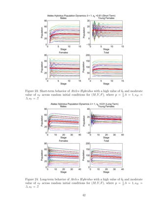 0 5 10 15
0
20
40
60
80
Stage
Population
Males
0 5 10 15
−10
0
10
20
30
Stage
Population
Young Females
0 5 10 15
0
20
40
60
80
Stage
Population
Females
0 5 10 15
0
50
100
150
200
StagePopulation
Total
Ateles Hybridus Population Dynamics:δ = 1, sF
=0.61 (Short Term)
Figure 23: Short-term behavior of Ateles Hybridus with a high value of δ0 and moderate
value of sF across random initial conditions for (M, Y, F), where p = 1
2
, b = 1, sM =
.5, sY = .7
0 10 20 30 40
0
20
40
60
80
Stage
Population
Males
0 10 20 30 40
−20
0
20
40
Stage
Population
Young Females
0 10 20 30 40
0
20
40
60
80
Stage
Population
Females
0 10 20 30 40
0
50
100
150
200
Stage
Population
Total
Ateles Hybridus Population Dynamics: δ = 1, sF
=0.61 (Long Term)
Figure 24: Long-term behavior of Ateles Hybridus with a high value of δ0 and moderate
value of sF across random initial conditions for (M, Y, F), where p = 1
2
, b = 1, sM =
.5, sY = .7
42
 