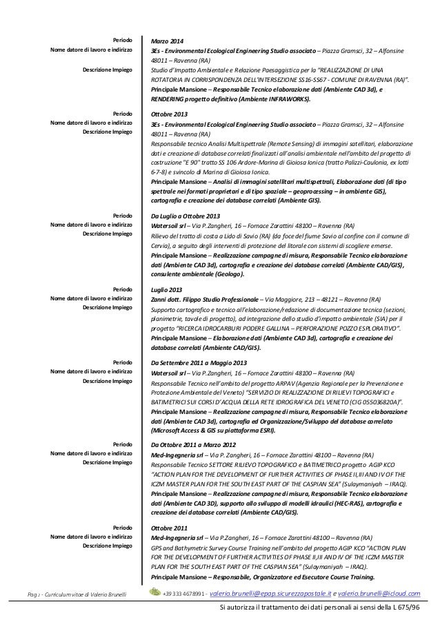 Au pair job description image