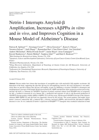 Journal of Alzheimer’s Disease 52 (2016) 223–242
DOI 10.3233/JAD-151046
IOS Press
223
Netrin-1 Interrupts Amyloid-␤
Ampliﬁcation, Increases sA␤PP␣ in vitro
and in vivo, and Improves Cognition in a
Mouse Model of Alzheimer’s Disease
Patricia R. Spilmana,d,1
, Veronique Corseta,b,1
, Olivia Gorostizaa,3
, Karen S. Poksaya
,
Veronica Galvana,4
, Junli Zhanga,5
, Rammohan Raoa
, Clare Peters-Libeua
, Jon Vincelettec
,
Andrew McGeehanc
, Melita Dvorak-Ewellc,6
, Janine Beyere
, Jesus Campagnaa,d
,
Krystof Bankiewicze
, Patrick Mehlenb
, Varghese Johna,d,2
and Dale E. Bredesena,d,2,∗
aBuck Institute for Research on Aging, Novato, CA, USA
bApoptosis, Cancer and Development Laboratory, University of Lyon Cancer Center, Centre L´eon B´erard, Lyon,
France
cBiomarin Pharmaceuticals, Novato, CA, USA
dDrug Discovery Laboratory, Department of Neurology & Easton Center for AD Research, University of
California, Los Angeles, CA, USA
eLaboratory for Translational Neuroscience Research, Department of Neurological Surgery, University of
California, San Francisco, CA, USA
Accepted 20 January 2016
Abstract. Recent studies have shown that inoculation of susceptible mice with amyloid-␤ (A␤) peptides accelerates A␤
deposition in the brain, supporting the idea that A␤ may be self-amplifying; however, the exact mechanism is not under-
stood. Here we provide evidence that A␤ may self-amplify, in part, by inhibiting ␣-secretase ADAM10 (a disintegrin and
metalloprotease) cleavage of full-length A␤ precursor protein (FL A␤PP) and therefore allow greater ␤-secretase processing,
and that A␤ itself is a substrate for ADAM10. Exposure of primary neuronal cultures from PDA␤PP mice to exogenous
rat A␤1-40 resulted in increased de novo human A␤1-42 production and exposure of cells to A␤ decreased production of
ADAM10 cleavage product soluble A␤PP␣ (sA␤PP␣). In a cell-free assay, A␤ decreased ADAM10 cleavage of the chimeric
substrate MBP-A␤PPC125 and A␤ itself was apparently cleaved by the enzyme. The axonal guidance and trophic factor
netrin-1, however, reduced the A␤1-40-induced A␤1-42 increase, increased sA␤PP␣, and reversed the A␤-induced sA␤PP␣
decrease in vitro. In vivo, induction of netrin-1 expression in PDA␤PPSwe/Ind
transgenic mice resulted in reductions in both
1These two authors contributed equally to this work.
2These two authors share senior authorship.
3Current location: Biomarin Pharmaceuticals, Novato,
California, USA.
4Current location: Department of Physiology, The Barshop
Institute for Longevity and Aging Studies/Nathan Shock Aging
Center, University of Texas Health Science Center, San Antonio,
Texas, USA.
5Current location: Gladstone Institutes, San Francisco,
California, USA.
6Current location: Ultragenyx, Novato, California, USA.
∗Correspondence to: Dale E. Bredesen, Buck Institute for
Research on Aging, 8001 Redwood Blvd., Novato, California
94945, USA. Tel.: +1 415 209 2000; E-mail: dbredesen@
buckinstitute.org.
ISSN 1387-2877/16/$35.00 © 2016 – IOS Press and the authors. All rights reserved
 