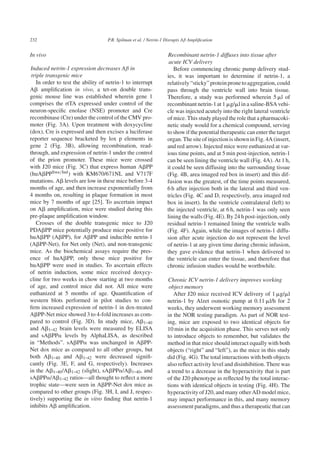 232 P.R. Spilman et al. / Netrin-1 Disrupts Aβ Ampliﬁcation
In vivo
Induced netrin-1 expression decreases Aβ in
triple transgenic mice
In order to test the ability of netrin-1 to interrupt
A␤ ampliﬁcation in vivo, a tet-on double trans-
genic mouse line was established wherein gene 1
comprises the rtTA expressed under control of the
neuron-speciﬁc enolase (NSE) promoter and Cre
recombinase (Cre) under the control of the CMV pro-
moter (Fig. 3A). Upon treatment with doxycycline
(dox), Cre is expressed and then excises a luciferase
reporter sequence bracketed by lox p elements in
gene 2 (Fig. 3B), allowing recombination, read-
through, and expression of netrin-1 under the control
of the prion promoter. These mice were crossed
with J20 mice (Fig. 3C) that express human A␤PP
(huA␤PPSwe/Ind) with KM670/671NL and V717F
mutations. A␤ levels are low in these mice before 3-4
months of age, and then increase exponentially from
4 months on, resulting in plaque formation in most
mice by 7 months of age [25]. To ascertain impact
on A␤ ampliﬁcation, mice were studied during this
pre-plaque ampliﬁcation window.
Crosses of the double transgenic mice to J20
PDA␤PP mice potentially produce mice positive for
huA␤PP (A␤PP), for A␤PP and inducible netrin-1
(A␤PP-Net), for Net only (Net), and non-transgenic
mice. As the biochemical assays require the pres-
ence of huA␤PP, only those mice positive for
huA␤PP were used in studies. To ascertain effects
of netrin induction, some mice received doxycy-
cline for two weeks in chow starting at two months
of age, and control mice did not. All mice were
euthanized at 5 months of age. Quantiﬁcation of
western blots performed in pilot studies to con-
ﬁrm increased expression of netrin-1 in dox-treated
A␤PP-Net mice showed 3 to 4-fold increases as com-
pared to control (Fig. 3D). In study mice, A␤1-40
and A␤1-42 brain levels were measured by ELISA
and sA␤PP␣ levels by AlphaLISA, as described
in “Methods”. sA␤PP␣ was unchanged in A␤PP-
Net dox mice as compared to all other groups, but
both A␤1-40 and A␤1-42 were decreased signiﬁ-
cantly (Fig. 3E, F, and G, respectively). Increases
in the A␤1-40/A␤1-42 (slight), sA␤PP␣/A␤1-40, and
sA␤PP␣/A␤1-42 ratios—all thought to reﬂect a more
trophic state—were seen in A␤PP-Net dox mice as
compared to other groups (Fig. 3H, I, and J, respec-
tively) supporting the in vitro ﬁnding that netrin-1
inhibits A␤ ampliﬁcation.
Recombinant netrin-1 diffuses into tissue after
acute ICV delivery
Before commencing chronic pump delivery stud-
ies, it was important to determine if netrin-1, a
relatively“sticky”proteinpronetoaggregation,could
pass through the ventricle wall into brain tissue.
Therefore, a study was performed wherein 5 ␮l of
recombinant netrin-1 at 1 ␮g/␮l in a saline-BSA vehi-
cle was injected acutely into the right lateral ventricle
of mice. This study played the role that a pharmacoki-
netic study would for a chemical compound, serving
to show if the potential therapeutic can enter the target
organ.ThesiteofinjectionisshowninFig.4A(insert,
and red arrow). Injected mice were euthanized at var-
ious time points, and at 5 min post-injection, netrin-1
can be seen lining the ventricle wall (Fig. 4A). At 1 h,
it could be seen diffusing into the surrounding tissue
(Fig. 4B, area imaged red box in insert) and this dif-
fusion was the greatest, of the time points measured,
6 h after injection both in the lateral and third ven-
tricles (Fig. 4C and D, respectively, area imaged red
box in insert). In the ventricle contralateral (left) to
the injected ventricle, at 6 h, netrin-1 was only seen
lining the walls (Fig. 4E). By 24 h post-injection, only
residual netrin-1 remained lining the ventricle walls
(Fig. 4F). Again, while the images of netrin-1 diffu-
sion after acute injection do not represent the level
of netrin-1 at any given time during chronic infusion,
they gave evidence that netrin-1 when delivered to
the ventricle can enter the tissue, and therefore that
chronic infusion studies would be worthwhile.
Chronic ICV netrin-1 delivery improves working
object memory
After J20 mice received ICV delivery of 1 ␮g/␮l
netrin-1 by Alzet osmotic pump at 0.11 ␮l/h for 2
weeks, they underwent working memory assessment
in the NOR testing paradigm. As part of NOR test-
ing, mice are exposed to two identical objects for
10 min in the acquisition phase. This serves not only
to introduce objects to remember, but validates the
method in that mice should interact equally with both
objects (“right” and “left”), as the mice in this study
did (Fig. 4G). The total interactions with both objects
also reﬂect activity level and disinhibition. There was
a trend to a decrease in the hyperactivity that is part
of the J20 phenotype as reﬂected by the total interac-
tions with identical objects in testing (Fig. 4H). The
hyperactivity of J20, and many other AD model mice,
may impact performance in this, and many memory
assessment paradigms, and thus a therapeutic that can
 