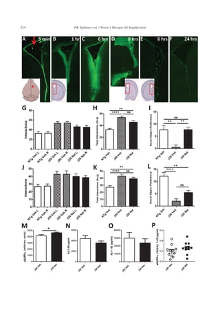234 P.R. Spilman et al. / Netrin-1 Disrupts Aβ Ampliﬁcation
 
