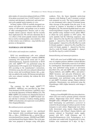 P.R. Spilman et al. / Netrin-1 Disrupts Aβ Ampliﬁcation 225
pilot studies of convection-enhanced delivery (CED)
of an adeno-associated virus 2 (AAV2) netrin-1-cmyc
construct and designed, synthesized, and tested sev-
eral cyclic peptide netrin mimetics in vitro.
In future studies, CED of carefully-designed con-
structs will allow us to ascertain netrin effects in a
variety of AD models, and perhaps even in models
of other neurodegenerative diseases such as amy-
otrophic lateral sclerosis wherein A␤ has recently
been implicated [22]. We will also determine the in
vivo effects of the netrin peptide mimetic described
here as well as similar peptides, since mimetics—due
to their relative ease of delivery—may hold the most
promise as therapeutics.
MATERIALS AND METHODS
Cell culture and transfection conditions
B103 (rat neuroblastoma) cells were cultured
in Dulbecco’s modiﬁed Eagle’s medium (DMEM)
containing 10% fetal bovine serum and 1% peni-
cillin/streptomycin. Transient transfection of B103
cells with A␤PPSwe/Ind was performed using the
Lipofectamine LTX reagent (Life Technologies) for
48 h according to the manufacturer’s instructions.
24 h before assay, the cells were cultured without fetal
bovine serum and recombinant human A␤1-42 pep-
tidewasaddedtothemedia.H4(humanneuroglioma)
cells were cultured similarly, but without the 48-h
transfection.
Plasmids
The construct for full length A␤PPSwe/Ind
(pcDNA3- A␤PPswi) was provided by the Glad-
stone Institutes (UCSF) and netrin-1 (pGNET1-myc)
was from the laboratory of Patrick Mehlen [23]. The
MBP-A␤PPC125constructwasobtainedbyfusionof
the C-terminal 125 residues of A␤PP Swedish vari-
ant with the C terminus of maltose binding protein
(MBP) in Escherichia coli expression vector pMALc
(New England Biolabs).
Recombinant protein and peptides
Recombinant human netrin-1 was purchased
from Apotech, while recombinant human peptides
A␤1-42, A␤42-1, FAM-Biotin A␤1-42, and rat A␤1-40
were purchased from Anaspec. ADAM10 and TIMP1
were purchased from Sigma-Aldrich. The cyclic pep-
tides were prepared at Anaspec using solid phase
synthesis. First, the linear tripeptide netrin-loop
sequence with ﬂanking N and C-terminal cysteines
were prepared on resin. The linear peptide synthe-
sis was terminated with a dansyl N-terminal group.
After cleavage of the peptide from the resin, it was
cyclized in solution as described in Eichler and
Houghten [24]. The internal disulﬁde bond was mon-
itored using Ellman’s reagent. The cyclic peptide was
then puriﬁed using standard reverse phase HPLC
to obtain the cyclic peptides in >95% purity. The
cyclic peptides had the following sequences: pep-
tide 1 - dansyl-Cys-Ile-Asp-Pro-Cys (with S-S bond);
peptide 2 - dansyl-Cys-Val-Ala-Gly-Cys (with S-S
bond);peptide3-dansyl-Cys-Pro-His-Phe-Cys(with
S-S bond); peptide 4 - dansyl-Cys-Pro-Asp-Phe-Cys
(with S-S bond); peptide 5 - dansyl-Cys-Val-Asn-
Ala-Cys (with S-S bond); and peptide 6 - dansyl-
Cys-Ile-Pro-Asp-Cys (with S-S bond).
Immunoblotting and immunoprecipitation
B103 cells were lysed in RIPA buffer in the pres-
ence of complete protease inhibitor cocktail (Roche)
on ice for 60 min, followed by removal of cell debris
by centrifugation. Electrophoresis and immunoblot-
ting were performed using lysates as previously
described [14], and anti-A␤PP C-terminal epitope
(Sigma-Aldrich), anti-sA␤PP␣ (IBL), anti-netrin-1
(R&D Systems), and anti-actin (Chemicon) anti-
bodies. Co-immunoprecipitations from B103 cell
supernatants were performed using anti-sA␤PP␣
or anti-A␤PP N-terminal epitope (Sigma-Aldrich)
antibodies. Densitometry was performed using the
ChemiImager 4400 (Alpha Innotech) with Image J
software.
Primary neuronal culture
Embryos from PDA␤PP (J20) mice described else-
where [25] were used to generate primary neuronal
cultures. Hippocampi from E18.5 embryos from
PDA␤PP (J20) × PDA␤PP (J20) crosses were iso-
lated. Genotyping was performed a posteriori to
control for the percentage of embryos positive for the
transgene in each culture. Hippocampi were chem-
ically dissociated using trypsin (Sigma-Aldrich),
DNA digested with DNaseI (Sigma-Aldrich) and
neurons cultured in Neurobasal media supple-
mented with B27, 1 mM Glutamax and 1%
Penicillin/Streptomycin (Life Technologies), in 6
well plates pre-coated with 10 ␮g/ml poly-L-lysine.
Cultures were maintained for 8 days. At day 1
 