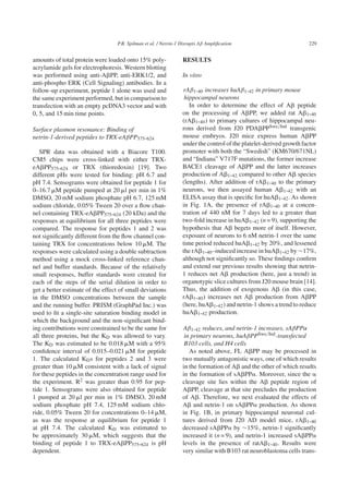 P.R. Spilman et al. / Netrin-1 Disrupts Aβ Ampliﬁcation 229
amounts of total protein were loaded onto 15% poly-
acrylamide gels for electrophoresis. Western blotting
was performed using anti-A␤PP, anti-ERK1/2, and
anti-phospho ERK (Cell Signaling) antibodies. In a
follow-up experiment, peptide 1 alone was used and
the same experiment performed, but in comparison to
transfection with an empty pcDNA3 vector and with
0, 5, and 15 min time points.
Surface plasmon resonance: Binding of
netrin-1-derived peptides to TRX-eAβPP575-624
SPR data was obtained with a Biacore T100.
CM5 chips were cross-linked with either TRX-
eA␤PP575-624 or TRX (thioredoxin) [19]. Two
different pHs were tested for binding: pH 6.7 and
pH 7.4. Sensograms were obtained for peptide 1 for
0–16.7 ␮M peptide pumped at 20 ␮l per min in 1%
DMSO, 20 mM sodium phosphate pH 6.7, 125 mM
sodium chloride, 0.05% Tween 20 over a ﬂow chan-
nel containing TRX-eA␤PP575-624 (20 kDa) and the
responses at equilibrium for all three peptides were
compared. The response for peptides 1 and 2 was
not signiﬁcantly different from the ﬂow channel con-
taining TRX for concentrations below 10 ␮M. The
responses were calculated using a double subtraction
method using a mock cross-linked reference chan-
nel and buffer standards. Because of the relatively
small responses, buffer standards were created for
each of the steps of the serial dilution in order to
get a better estimate of the effect of small deviations
in the DMSO concentrations between the sample
and the running buffer. PRISM (GraphPad Inc.) was
used to ﬁt a single-site saturation binding model in
which the background and the non-signiﬁcant bind-
ing contributions were constrained to be the same for
all three proteins, but the KD was allowed to vary.
The KD was estimated to be 0.018 ␮M with a 95%
conﬁdence interval of 0.015–0.021 ␮M for peptide
1. The calculated KDs for peptides 2 and 3 were
greater than 10 ␮M consistent with a lack of signal
for these peptides in the concentration range used for
the experiment. R2 was greater than 0.95 for pep-
tide 1. Sensograms were also obtained for peptide
1 pumped at 20 ␮l per min in 1% DMSO, 20 mM
sodium phosphate pH 7.4, 125 mM sodium chlo-
ride, 0.05% Tween 20 for concentrations 0–14 ␮M,
as was the response at equilibrium for peptide 1
at pH 7.4. The calculated KD was estimated to
be approximately 30 ␮M, which suggests that the
binding of peptide 1 to TRX-eA␤PP575-624 is pH
dependent.
RESULTS
In vitro
rAβ1-40 increases huAβ1-42 in primary mouse
hippocampal neurons
In order to determine the effect of A␤ peptide
on the processing of A␤PP, we added rat A␤1-40
(rA␤1-40) to primary cultures of hippocampal neu-
rons derived from J20 PDA␤PPSwe/Ind transgenic
mouse embryos. J20 mice express human A␤PP
under the control of the platelet-derived growth factor
promoter with both the “Swedish” (KM670/671NL)
and “Indiana” V717F mutations, the former increase
BACE1 cleavage of A␤PP and the latter increases
production of A␤1-42 compared to other A␤ species
(lengths). After addition of rA␤1-40 to the primary
neurons, we then assayed human A␤1-42 with an
ELISA assay that is speciﬁc for huA␤1-42. As shown
in Fig. 1A, the presence of rA␤1-40 at a concen-
tration of 440 nM for 7 days led to a greater than
two-fold increase in huA␤1-42 (n = 9), supporting the
hypothesis that A␤ begets more of itself. However,
exposure of neurons to 6 nM netrin-1 over the same
time period reduced huA␤1-42 by 20%, and lessened
the rA␤1-40–induced increase in huA␤1-42 by ∼17%,
although not signiﬁcantly so. These ﬁndings conﬁrm
and extend our previous results showing that netrin-
1 reduces net A␤ production (here, just a trend) in
organotypic slice cultures from J20 mouse brain [14].
Thus, the addition of exogenous A␤ (in this case,
rA␤1-40) increases net A␤ production from A␤PP
(here, huA␤1-42) and netrin-1 shows a trend to reduce
huA␤1-42 production.
Aβ1-42 reduces, and netrin-1 increases, sAβPPα
in primary neurons, huAβPPSwe/Ind-transfected
B103 cells, and H4 cells
As noted above, FL A␤PP may be processed in
two mutually antagonistic ways, one of which results
in the formation of A␤ and the other of which results
in the formation of sA␤PP␣. Moreover, since the ␣
cleavage site lies within the A␤ peptide region of
A␤PP, cleavage at that site precludes the production
of A␤. Therefore, we next evaluated the effects of
A␤ and netrin-1 on sA␤PP␣ production. As shown
in Fig. 1B, in primary hippocampal neuronal cul-
tures derived from J20 AD model mice, rA␤1-40
decreased sA␤PP␣ by ∼15%, netrin-1 signiﬁcantly
increased it (n = 9), and netrin-1 increased sA␤PP␣
levels in the presence of ratA␤1-40. Results were
very similar with B103 rat neuroblastoma cells trans-
 