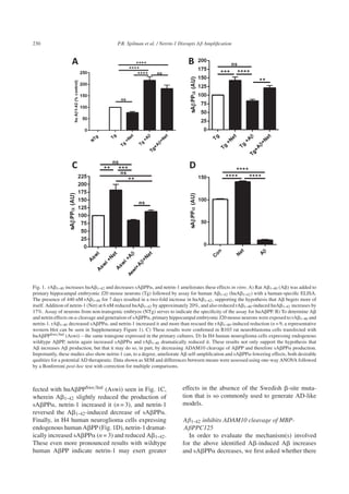 230 P.R. Spilman et al. / Netrin-1 Disrupts Aβ Ampliﬁcation
Fig. 1. rA␤1-40 increases huA␤1-42 and decreases sA␤PP␣, and netrin-1 ameliorates these effects in vitro. A) Rat A␤1-40 (A␤) was added to
primary hippocampal embryonic J20 mouse neurons (Tg) followed by assay for human A␤1-42 (huA␤1-42) with a human-speciﬁc ELISA.
The presence of 440 nM rA␤1-40 for 7 days resulted in a two-fold increase in huA␤1-42, supporting the hypothesis that A␤ begets more of
itself. Addition of netrin-1 (Net) at 6 nM reduced huA␤1-42 by approximately 20%, and also reduced rA␤1-40-induced huA␤1-42 increases by
17%. Assay of neurons from non-transgenic embryos (NTg) serves to indicate the speciﬁcity of the assay for huA␤PP. B) To determine A␤
and netrin effects on ␣ cleavage and generation of sA␤PP␣, primary hippocampal embryonic J20 mouse neurons were exposed to rA␤1-40 and
netrin-1. rA␤1-40 decreased sA␤PP␣, and netrin-1 increased it and more than rescued the rA␤1-40-induced reduction (n = 9, a representative
western blot can be seen in Supplementary Figure 1). C) These results were conﬁrmed in B103 rat neuroblastoma cells transfected with
huA␤PPSwe/Ind (Aswi) – the same transgene expressed in the primary cultures. D) In H4 human neuroglioma cells expressing endogenous
wildtype A␤PP, netrin again increased sA␤PP␣ and rA␤1-40 dramatically reduced it. These results not only support the hypothesis that
A␤ increases A␤ production, but that it may do so, in part, by decreasing ADAM10 cleavage of A␤PP and therefore sA␤PP␣ production.
Importantly, these studies also show netrin-1 can, to a degree, ameliorate A␤ self-ampliﬁcation and sA␤PP␣-lowering effects, both desirable
qualities for a potential AD therapeutic. Data shown as SEM and differences between means were assessed using one-way ANOVA followed
by a Bonferroni post-hoc test with correction for multiple comparisons.
fected with huA␤PPSwe/Ind (Aswi) seen in Fig. 1C,
wherein A␤1-42 slightly reduced the production of
sA␤PP␣, netrin-1 increased it (n = 3), and netrin-1
reversed the A␤1-42-induced decrease of sA␤PP␣.
Finally, in H4 human neuroglioma cells expressing
endogenous human A␤PP (Fig. 1D), netrin-1 dramat-
ically increased sA␤PP␣ (n = 3) and reduced A␤1-42.
These even more pronounced results with wildtype
human A␤PP indicate netrin-1 may exert greater
effects in the absence of the Swedish ␤-site muta-
tion that is so commonly used to generate AD-like
models.
Aβ1-42 inhibits ADAM10 cleavage of MBP-
AβPPC125
In order to evaluate the mechanism(s) involved
for the above identiﬁed A␤-induced A␤ increases
and sA␤PP␣ decreases, we ﬁrst asked whether there
 