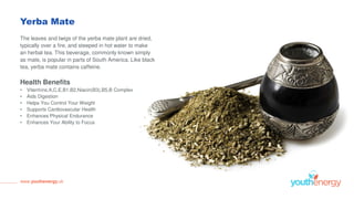 Yerba Mate
The leaves and twigs of the yerba mate plant are dried,
typically over a fire, and steeped in hot water to make
an herbal tea. This beverage, commonly known simply
as mate, is popular in parts of South America. Like black
tea, yerba mate contains caffeine.
Health Benefits
• Vitermins:A,C,E,B1,B2,Niacin(B3),B5,B Complex
• Aids Digestion
• Helps You Control Your Weight
• Supports Cardiovascular Health
• Enhances Physical Endurance
• Enhances Your Ability to Focus
www.youthenergy.uk
 
