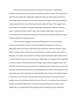 !
However,!the!data!obtained!in!the!second!part!of!this!research!supports!the!
hypothesis!that!tailQvibration!provided!the!signal!basis!for!the!evolution!of!the!rattlesnake!
rattle.!The!data!shows!that!rattlesnakes!rattle!faster!than!any!other!group!tested.!It!also!
shows!that,!with!the!exception!of!A.,piscivorus,,species!in!the!genus!most!closely!related!to!
rattlesnakes!tailQvibrate!faster!than!more!distantly!related!pit!vipers.!This!suggests!that!
tailQvibration!was!modified!in!ancestral!rattlesnakes!during!rattle!evolution!to!become!
faster,!as!elevated!vibratory!speed!is!also!a!trait!of!extant!rattlesnakes.!One!would!not!
necessarily!expect!this!stepwise!modification!of!tailQvibration!through!evolutionary!time!if!
caudal!luring!were!the!signal!precursor.!!
This!research!also!suggests!some!potential!hypotheses!for!the!evolutionary!
pressures!that!led!to!the!evolution!of!the!rattle.!With!the!exception!of!A.,piscivorus,!
Agkistrodon,species!tailQvibrate!significantly!faster!than!more!distantly!related!pit!vipers.!
While!it!remains!unclear!why,such!an!increased!vibratory!speed!would!be!selected!for!in!
this!genus,!the!results!of!this!selection!could!have!actually!facilitated!rattle!evolution!if!this!
increased!vibratory!capacity!led!to!tail!damage.!Rattlesnakes!are!thought!to!have!originated!
in!rocky!outcrops!in!Central!Mexico,!and!vibrating!at!high!frequencies!against!such!a!hard!
substrate!could!have!led!to!tail!damage!in!fastQvibrating!ancestral!rattlesnakes.!I!know!from!
personal!communication!with!staff!at!the!Kentucky!Reptile!Zoo!that!some!individuals!of!the!
genus!Bothrops,in!their!collection!have!fractured!their!tails!in!the!process!of!tailQvibrating.!
If!a!structure!evolved!in!ancestral!rattlesnakes!that!protected!the!tail!during!vibration—
perhaps!some!sort!of!keratinous!bulb!at!the!end!of!the!tail—!it!could!have!been!selected!for!
and!then!eventually!modified!into!the!unique!soundQproducing!structure!that!modern!
rattlesnakes!are!equipped!with.!This!hypothesis!that!the!original!purpose!of!incipient!
 