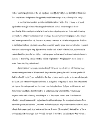 !
rattles!was!for!protection!of!the!tail!has!been!raised!before!(Tiebout!1997)!but!this!is!the!
first!research!to!find!potential!support!for!the!idea!through!an!actual!empirical!study.!
In!moving!forward,!this!hypothesis!that!incipient!rattles!first!evolved!to!protect!
against!tailQdamage!sustained!during!tailQvibration!should!be!investigated!more!
specifically.!This!could!potentially!be!done!by!investigating!whether!faster!tailQvibrating!
species!have!a!higher!incidence!of!tail!breakage!than!slower!vibrating!species.!One!could!
also!investigate!whether!tail!fractures!are!more!common!in!tailQvibrating!species!that!live!
in!habitats!with!hard!substrates.!Another!potential!way!to!move!forward!with!this!research!
would!be!to!investigate!why!Agkistrodon,!and!for!that!matter!rattlesnakes,!evolved!such!
elevated!rattling!speeds.!Is!a!higher!rattling!speed!indicative!of!healthier!individuals!more!
capable!of!delivering!a!toxic!bite!to!a!wouldQbe!predator?!Are!predators!more!likely!to!
avoid!fasterQrattling!individuals?!!
A!more!comprehensive!examination!of!vibratory!speeds!across!pit!vipers!would!
bolster!the!significance!of!this!research.!In!particular,!getting!data!for!the!one!species!of!
Agkistrodon,(A.,taylori)!not!included!in!the!data!is!important!in!order!to!better!substantiate!
the!claim!that!vibratory!speed!is!elevated!in!this!genus!compared!to!other!nonQrattlesnake!
pit!vipers.!Obtaining!data!from!the!clade!containing!Lachesis,,Ophryacus,,Mixcoatlus,,and!
Bothriechis,would!also!be!informative!in!understanding!where!in!the!evolutionary!
sequence!elevated!vibratory!speed!began.!It!is!also!important!to!note!that!elevated!
vibratory!speed!is!apparently!not!unique!to!rattlesnakes!and!the!genus!Agkistrodon.!Two!
different!species!of!Colubrid!(Pituophis,melanoleucus,and!Elaphe,obsoleta,lindheimeri)!both!
vibrated!at!speeds!typical!of!a!slow!rattling!rattlesnake!(Appendix!A).!Yet!neither!of!these!
species!are!part!of!lineages!that!evolved!any!sort!of!modified!tail!structure.!Why!would!a!
 
