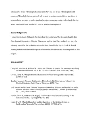 !
rattle!evolve!in!fast!vibrating!rattlesnake!ancestors!but!not!in!fast!vibrating!Colubrid!
ancestors?!Hopefully,!future!research!will!be!able!to!address!some!of!these!questions!in!
order!to!bring!us!closer!to!understanding!how!the!rattlesnake!rattle!evolved!and,!thereby!
better!understand!how!novel!traits!arise!in!populations!in!general.!
!
Acknowledgements)
I!would!like!to!thank!Ali!Lyoob,!The!Cape!Fear!Serpentarium,!The!Kentucky!Reptile!Zoo,!
ColdQBlooded!Encounters,!Alligator!Adventure,!and!the!Last!Place!on!Earth!pet!store!for!
allowing!me!to!film!the!snakes!in!their!collections.!I!would!also!like!to!thank!Dr.!David!
Pfennig!and!the!rest!of!the!Pfennig!Lab!for!their!valuable!advice!and!encouragement!in!this!
project.!
!
BIBLIOGRAPHY)
!
Campbell,!Jonathan!A.,!William!W.!Lamar,!and!Edmund!D.!Brodie.!The,venomous,reptiles,of,
the,westen,hemisphere,,Vol.!1.!No.!2.!Ithaca:!Comstock!Pub.!Associates,!2004.!
!
Greene,!Harry!W.!“Antipredator!mechanisms!in!reptiles.”!Biology,of,the,Reptilia,16.1!
(1988):!1Q152.!
!
Klauber,!Laurence!Monroe.!Rattlesnakes:,Their,Habits,,Life,Histories,,and,Influence,on,
Mankind.,Berkeley,!Calif.:!Univ.!of!California,!1972.!Print.!
!
Leal,!Manuel,!and!Richard!Thomas.!"Notes!on!the!Feeding!Behavior!and!Caudal!Luring!by!
Juvenile!Alsophis!Portoricensis!(Serpentes:!Colubridae)."!Journal,of,Herpetology!
28.1!(1994):!126Q28.!Print.!!
!
Martin,!James!H.,!and!Roland!M.!Bagby.!"TemperatureQfrequency!relationship!of!the!
rattlesnake!rattle."!Copeia!(1972):!482Q485.!
!
Moon,!Brad!R.!"Muscle!Physiology!and!the!Evolution!of!the!Rattling!System!in!
Rattlesnakes."!Journal,of,Herpetology!(2001):!497Q500.!Web.!!
!
 