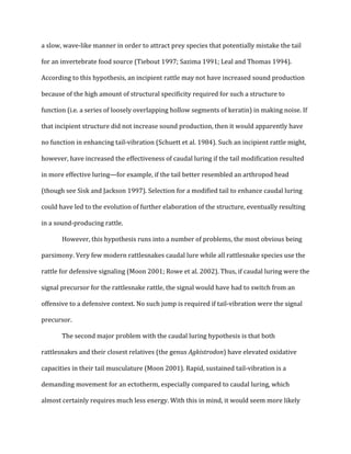 !
a!slow,!waveQlike!manner!in!order!to!attract!prey!species!that!potentially!mistake!the!tail!
for!an!invertebrate!food!source!(Tiebout!1997;!Sazima!1991;!Leal!and!Thomas!1994).!
According!to!this!hypothesis,!an!incipient!rattle!may!not!have!increased!sound!production!
because!of!the!high!amount!of!structural!specificity!required!for!such!a!structure!to!
function!(i.e.!a!series!of!loosely!overlapping!hollow!segments!of!keratin)!in!making!noise.!If!
that!incipient!structure!did!not!increase!sound!production,!then!it!would!apparently!have!
no!function!in!enhancing!tailQvibration!(Schuett!et!al.!1984).!Such!an!incipient!rattle!might,!
however,!have!increased!the!effectiveness!of!caudal!luring!if!the!tail!modification!resulted!
in!more!effective!luring—for!example,!if!the!tail!better!resembled!an!arthropod!head!
(though!see!Sisk!and!Jackson!1997).!Selection!for!a!modified!tail!to!enhance!caudal!luring!
could!have!led!to!the!evolution!of!further!elaboration!of!the!structure,!eventually!resulting!
in!a!soundQproducing!rattle.!
! However,!this!hypothesis!runs!into!a!number!of!problems,!the!most!obvious!being!
parsimony.!Very!few!modern!rattlesnakes!caudal!lure!while!all!rattlesnake!species!use!the!
rattle!for!defensive!signaling!(Moon!2001;!Rowe!et!al.!2002).!Thus,!if!caudal!luring!were!the!
signal!precursor!for!the!rattlesnake!rattle,!the!signal!would!have!had!to!switch!from!an!
offensive!to!a!defensive!context.!No!such!jump!is!required!if!tailQvibration!were!the!signal!
precursor.!!
! The!second!major!problem!with!the!caudal!luring!hypothesis!is!that!both!
rattlesnakes!and!their!closest!relatives!(the!genus!Agkistrodon)!have!elevated!oxidative!
capacities!in!their!tail!musculature!(Moon!2001).!Rapid,!sustained!tailQvibration!is!a!
demanding!movement!for!an!ectotherm,!especially!compared!to!caudal!luring,!which!
almost!certainly!requires!much!less!energy.!With!this!in!mind,!it!would!seem!more!likely!
 