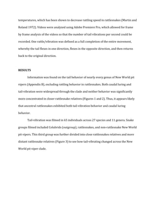 !
temperatures,!which!has!been!shown!to!decrease!rattling!speed!in!rattlesnakes!(Martin!and!
Roland!1972).!Videos!were!analyzed!using!Adobe!Premiere!Pro,!which!allowed!for!frame!
by!frame!analysis!of!the!videos!so!that!the!number!of!tail!vibrations!per!second!could!be!
recorded.!One!rattle/vibration!was!defined!as!a!full!completion!of!the!entire!movement,!
whereby!the!tail!flexes!in!one!direction,!flexes!in!the!opposite!direction,!and!then!returns!
back!to!the!original!direction.!!
!
RESULTS)
! Information!was!found!on!the!tail!behavior!of!nearly!every!genus!of!New!World!pit!
vipers!(Appendix!B),!excluding!rattling!behavior!in!rattlesnakes.!Both!caudal!luring!and!
tailQvibration!were!widespread!through!the!clade!and!neither!behavior!was!significantly!
more!concentrated!in!closer!rattlesnake!relatives!(Figures!1!and!2).!Thus,!it!appears!likely!
that!ancestral!rattlesnakes!exhibited!both!tailQvibration!behavior!and!caudal!luring!
behavior.!
TailQvibration!was!filmed!in!65!individuals!across!27!species!and!11!genera.!Snake!
groups!filmed!included!Colubrids!(outgroup),!rattlesnakes,!and!nonQrattlesnake!New!World!
pit!vipers.!This!third!group!was!further!divided!into!close!rattlesnakes!relatives!and!more!
distant!rattlesnake!relatives!(Figure!3)!to!see!how!tailQvibrating!changed!across!the!New!
World!pit!viper!clade.!!
!
!
!
!
!
 