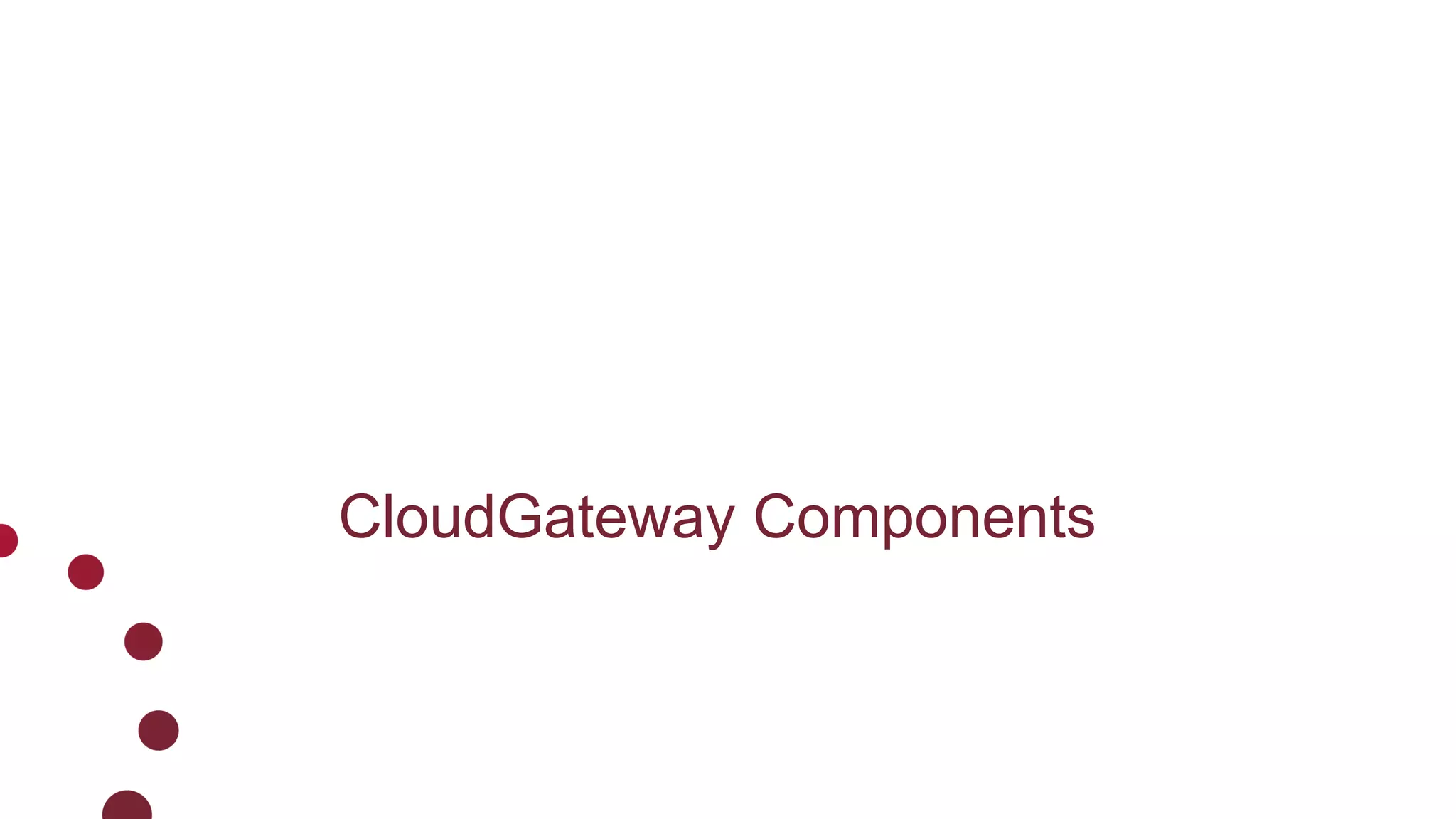 CloudGateway Components
 