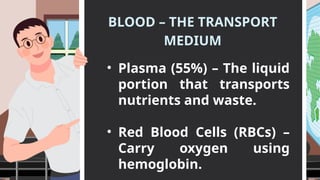 BLOOD – THE TRANSPORT
MEDIUM
• Plasma (55%) – The liquid
portion that transports
nutrients and waste.
• Red Blood Cells (RBCs) –
Carry oxygen using
hemoglobin.
 