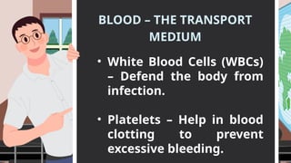 BLOOD – THE TRANSPORT
MEDIUM
• White Blood Cells (WBCs)
– Defend the body from
infection.
• Platelets – Help in blood
clotting to prevent
excessive bleeding.
 