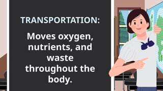 TRANSPORTATION:
Moves oxygen,
nutrients, and
waste
throughout the
body.
 