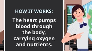 HOW IT WORKS:
The heart pumps
blood through
the body,
carrying oxygen
and nutrients.
 