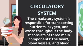 The circulatory system is
responsible for transporting
nutrients, oxygen, and
waste throughout the body.
It consists of three main
components: the heart,
blood vessels, and blood.
CIRCULATORY
SYSTEM
 