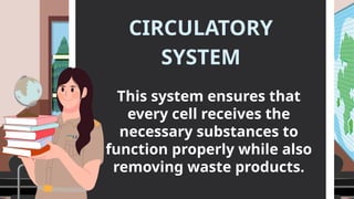 This system ensures that
every cell receives the
necessary substances to
function properly while also
removing waste products.
CIRCULATORY
SYSTEM
 