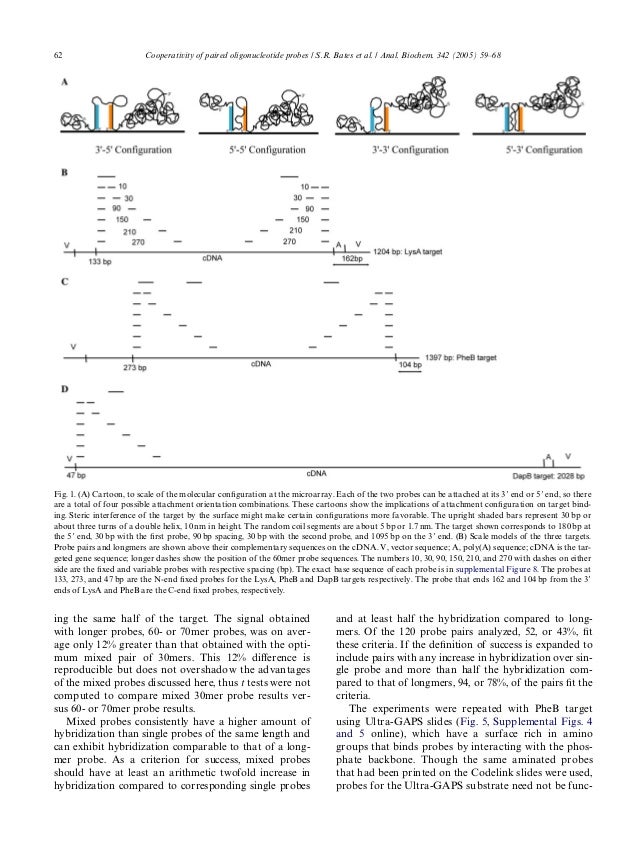Dna microarray pdf image