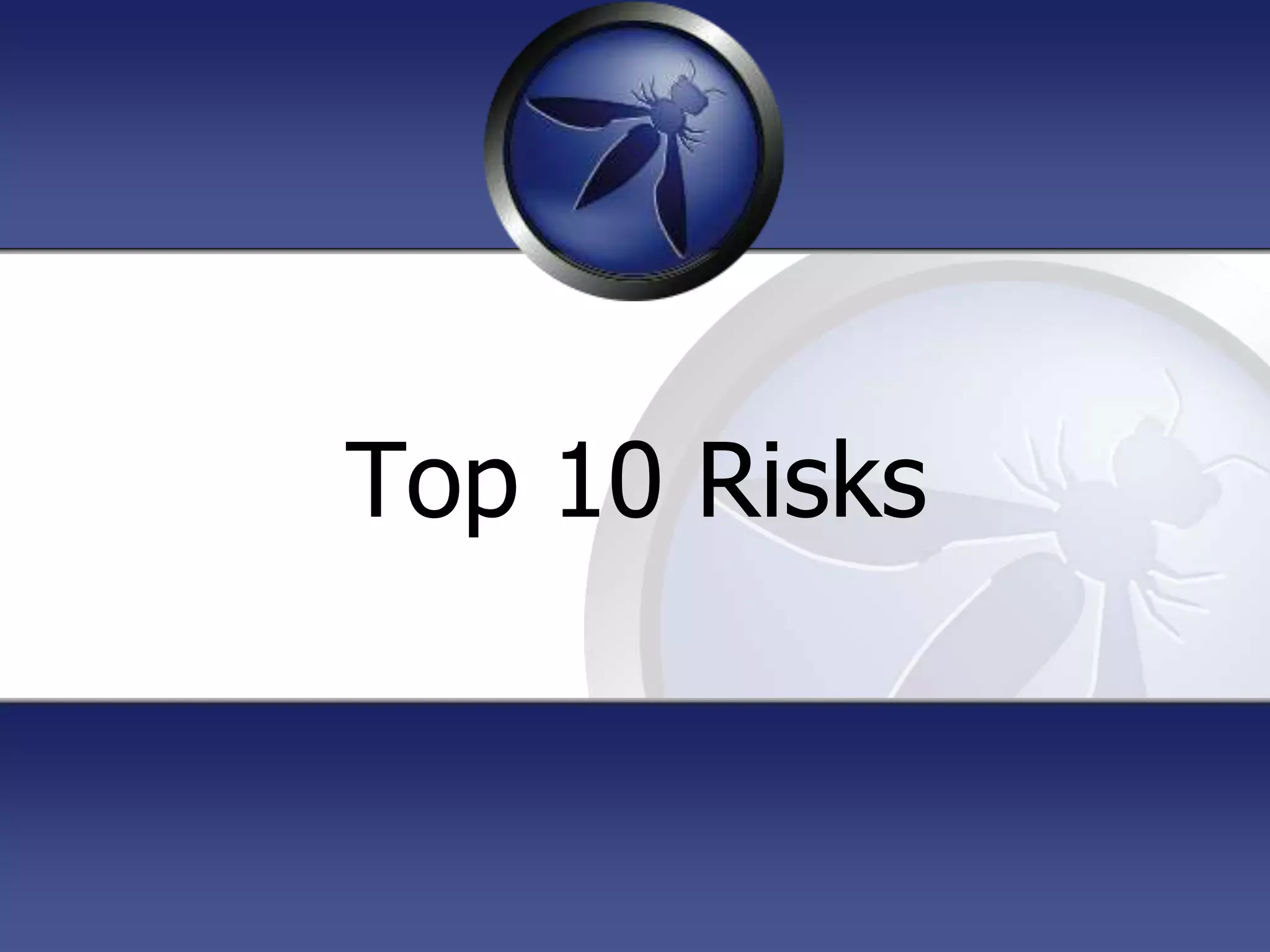 Top 10 Risks
 
