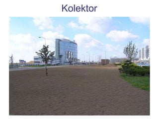 Kolektor
 