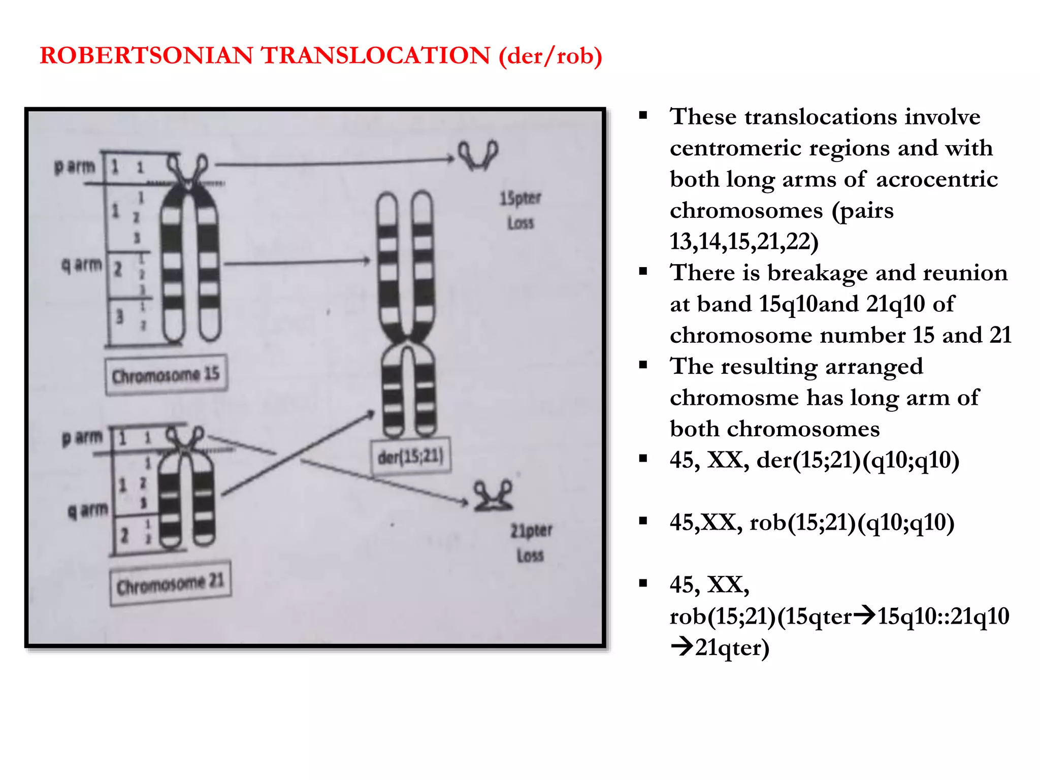 Interpretation of Genetic formulae | PPTX