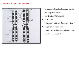 Interpretation of Genetic formulae | PPTX