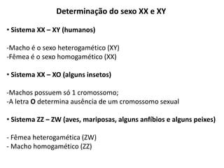 Determinação do sexo XX e XY

• Sistema XX – XY (humanos)

-Macho é o sexo heterogamético (XY)
-Fêmea é o sexo homogamético (XX)

• Sistema XX – XO (alguns insetos)

-Machos possuem só 1 cromossomo;
-A letra O determina ausência de um cromossomo sexual

• Sistema ZZ – ZW (aves, mariposas, alguns anfíbios e alguns peixes)

- Fêmea heterogamética (ZW)
- Macho homogamético (ZZ)
 