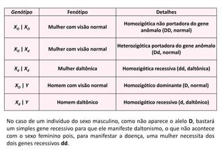 Genótipo              Fenótipo                           Detalhes

                                            Homozigótica não portadora do gene
  XD | XD      Mulher com visão normal
                                                  anômalo (DD, normal)

                                          Heterozigótica portadora do gene anômalo
  XD | Xd      Mulher com visão normal
                                                         (Dd, normal)

  Xd | Xd          Mulher daltônica         Homozigótica recessiva (dd, daltônica)


   XD | Y      Homem com visão normal       Homozigótico dominante (D, normal)


   Xd | Y          Homem daltônico          Homozigótico recessivo (d, daltônico)


No caso de um indivíduo do sexo masculino, como não aparece o alelo D, bastará
um simples gene recessivo para que ele manifeste daltonismo, o que não acontece
com o sexo feminino pois, para manifestar a doença, uma mulher necessita dos
dois genes recessivos dd.
 