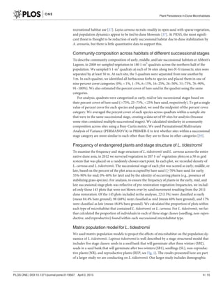 recreational habitat use [37]. Layia carnosa recruits readily in open sand with sparse vegetation,
and population dynamics appear to be tied to dune blowouts [37]. At PRNS, the most signifi-
cant threat is thought to be reduction of early successional habitat due to dune stabilization by
A. arenaria, but there is little quantitative data to support this.
Community composition across habitats of different successional stages
To describe community composition of early, middle, and late successional habitats at Abbott’s
Lagoon, in 2008 we sampled vegetation in 180 1-m2
quadrats across the northern half of the
population. We sampled 5 1-m2
quadrats at each of 36 sites along two N-S transects; sites were
separated by at least 50 m. At each site, the 5 quadrats were separated from one another by
5 m. In each quadrat, we identified all herbaceous forbs to species and placed them in one of
nine percent cover categories (0%; <1%, 1–5%, 6–15%, 16–25%, 26–50%, 51–75%, 76–90%,
91–100%). We also estimated the percent cover of bare sand in the quadrat using the same
categories.
For analysis, quadrats were categorized as early, mid or late successional stages based on
their percent cover of bare sand (>75%, 25–75%, <25% bare sand, respectively). To get a single
value of percent cover for each species and quadrat, we used the midpoint of the percent cover
category. We averaged the percent cover of each species across quadrats within a sample site
that were in the same successional stage, creating a data set of 69 sites for analysis (because
some sites contained multiple successional stages). We calculated similarity in community
composition across sites using a Bray-Curtis metric. We used Permutational Multivariate
Analysis of Variance (PERMANOVA) in PRIMER-E to test whether sites within a successional
stage category are more similar to each other than they are to those in other categories [39].
Frequency of endangered plants and stage structure of L. tidestromii
To examine the frequency and stage structure of L. tidestromii and L. carnosa across the entire
native dune area, in 2012 we surveyed vegetation in 207 1-m2
vegetation plots on a 50 m grid
system that was placed on a randomly chosen start point. In each plot, we recorded density of
L. carnosa and L. tidestromii. The successional stage of each plot was scored as early, middle, or
late, based on the percent of the plot area occupied by bare sand (70% bare sand for early;
35%-90% for mid; 0%-40% for late) and by the identity of occurring plants (e.g., presence of
stabilizing grass species). For analysis, to ensure the frequency of plants in the early, mid, and
late successional stage plots was reflective of pre-restoration vegetation frequencies, we includ-
ed only those 145 plots that were not blown over by sand movement resulting from the 2011
dune restoration. Of the 145 plots included in the analyses, 22 (15%) were classified as early
(mean 84.4% bare ground), 98 (68%) were classified as mid (mean 60% bare ground), and 17%
were classified as late (mean 18.8% bare ground). We calculated the proportion of plots within
each type of microhabitat that contained L. tidestromii or L. carnosa. For L. tidestromii, we fur-
ther calculated the proportion of individuals in each of three stage classes (seedling, non-repro-
ductive, and reproductive) found within each successional microhabitat type.
Matrix population model for L. tidestromii
We used matrix population models to project the effects of microhabitat on the population dy-
namics of L. tidestromii. Lupinus tidestromii is well-described by a stage-structured model that
includes five stage classes: seeds in a seed bank that will germinate after three winters (SB2),
seeds in a seed bank that will germinate after two winters (SB1), seedlings (SL), non-reproduc-
tive plants (NR), and reproductive plants (REP, see Fig. 1). The results presented here are part
of a larger study we are conducting on L. tidestromii. Our larger study includes demographic
Plant Persistence in Dune Microhabitats
PLOS ONE | DOI:10.1371/journal.pone.0119567 April 2, 2015 4 / 15
 