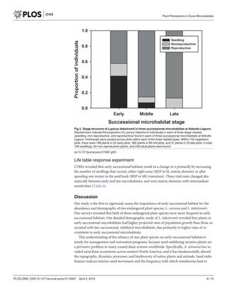 Life table response experiment
LTREs revealed that early successional habitats result in a change in λ primarily by increasing
the number of seedlings that recruit, either right away (REP to SL matrix element) or after
spending one winter in the seed bank (REP to SB1 transition). These vital rates changed dra-
matically between early and late microhabitats, and were matrix elements with intermediate
sensitivities (Table 4).
Discussion
Our study is the first to rigorously assess the importance of early successional habitat for the
abundance and demography of two endangered plant species, L. carnosa and L. tidestromii.
Our surveys revealed that both of these endangered plant species were more frequent in early
successional habitats. Our detailed demographic study of L. tidestromii revealed that plants in
early successional microhabitats had higher projected rates of population growth than those as-
sociated with late successional, stabilized microhabitats, due primarily to higher rates of re-
cruitment in early successional microhabitats.
This understanding of the reliance of rare plant species on early successional habitats is
timely for management and restoration programs, because sand-stabilizing invasive plants are
a pervasive problem in many coastal dune systems worldwide. Specifically, A. arenaria has in-
vaded sand dune ecosystems across western North America, and it has fundamentally altered
the topography, dynamics processes, and biodiversity of native plants and animals. Sand stabi-
lization reduces interior sand movement and the frequency with which windstorms lead to
Fig 3. Stage structure of Lupinus tidestromii in three successional microhabitats at Abbotts Lagoon.
Stacked bars indicate the proportion of Lupinus tidestromii individuals in each of three stage classes
(seedling, non-reproductive, and reproductive) found in each of three successional microhabitats at Abbotts
Lagoon. Individuals were pooled across plots within each of the three habitat types. Within 145 vegetation
plots, there were 198 plants in 22 early plots, 382 plants in 98 mid plots, and 31 plants in 25 late plots; in total,
109 seedlings, 64 non-reproductive plants, and 438 adult plants were found.
doi:10.1371/journal.pone.0119567.g003
Plant Persistence in Dune Microhabitats
PLOS ONE | DOI:10.1371/journal.pone.0119567 April 2, 2015 9 / 15
 