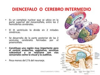 • Es un complejo nuclear que se ubica en la
parte superior del mesencéfalo, entre los 2
hemisferios cerebrales.
• El III ventrículo lo divide en 2 mitades
simétricas.
• Se desarrolla de la parte posterior de las 2
vesículas cerebrales formadas por el
proencéfalo.
• Constituye una región muy importante para
el control endocrino, vegetativo, sensitivo
subcortical y se relaciona con vías
sensoriales como la visual y la auditiva.
• Pesa menos del 2 % del neuroeje.
DAVID SUMERENTE TORRES
DIENCEFALO O CEREBRO INTERMEDIO
 