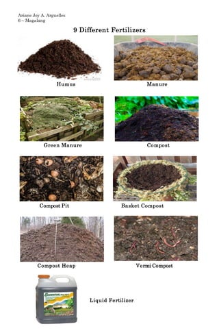 Ariane Joy A. Arguelles
6 – Magalang
9 Different Fertilizers
Humus Manure
Green Manure Compost
Compost Pit Basket Compost
Compost Heap Vermi Compost
Liquid Fertilizer
 