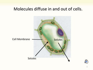 9 diffusion and osmosis (Lab) Thursday 9/19 | PPTX | Chemistry | Science