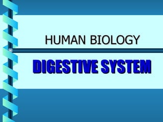 HUMAN BIOLOGY DIGESTIVE SYSTEM 