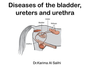 Diseases of the bladder,
ureters and urethra
Dr.Karima Al Salihi
 
