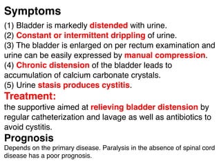 9 diseases of the bladder, ureters and urethra | PDF