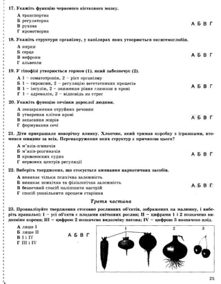 17. Укажіть функцію червоного кісткового мозку.
А транспортна
Б регуляторна
В рухова
Г кровотворна
18. Укажіть структури організму, у капілярах яких утворюється оксигемоглобін.
А нирки
Б серце
В нефрони
Г альвеоли
19. У гіпофізі утворюється гормон (1), який забезпечує (2).
А 1 - соматотропін, 2 - ріст організму
Б 1 - тироксин, 2 - регуляцію вегетативних процесів
В 1 - інсулін, 2 - зниження рівня глюкози в крові
Г 1 - адреналін, 2 - відповідь на стрес
20. Укажіть функцію печінки дорослої людини.
А знезараження отруйних речовин
Б утворення клітин крові
В запасання жирів
Г формування сечі
А Б В Г
А Б В Г
А Б В Г
А Б В Г
А Б В Г
21. Діти прикрашали новорічну ялинку. Хлопчик, який тримав коробку з іграшками, вто­
мився швидше за всіх. Перенапруження яких структур є причиною цього?
А м’ язів-згиначів
Б м’язів-розгиначів
В кровоносних судин
Г нервових центрів регуляції
22. Виберіть твердження, що стосується вживання наркотичних засобів.
А виникає тільки психічна залежність
Б виникає психічна та фізіологічна залежність
В безпечний спосіб поліпшити настрій
Г спосіб уповільнити процеси старіння
А Б В Г
Третя частина
23. Проаналізуйте твердження стосовно рослинних об’єктів, зображених на малюнку, і вибе­
ріть правильні: І —усі об’єкти є плодами квіткових рослин; II —цифрами 1 і 2 позначено ви­
дозміни кореня; III —цифрою 2 позначено видозміну пагона; IV —цифрою 3 позначено плід.
А лише І
Б лише II
В І і IV
Г III і IV
А Б В Г
25
І
 