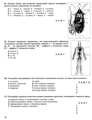 24. Укажіть букву, яка позначає правильний перелік внутрішніх
органів кроля, позначених на малюнку.
А 1 - серце; 2 - легеня; 3 - печінка; 4 - шлунок
Б 1 - легеня; 2 - серце; 3 - шлунок; 4 - печінка
В 1 - шлунок; 2 - легеня; 3 - печінка; 4 - серце
Г 1 - печінка; 2 - шлунок; 3 - серце; 4 - легеня
А Б В Г
25. Укажіть правильні твердження, які характеризують зображену
на малюнку систему органів організму людини: І —це нервова систе­
ма; II — це кровоносна система; III - цифрою 1 позначено серце;
IV —цифрою 2 позначено нерви.
А тільки І
Б Т ІЛ ЬК И II . Г- о г-
В І і IV А Б В Г
Г II і III
26. Установіть відповідність між кістками та відділами
1 ключиця А череп
2 велика гомілкова Б пояс верхніх кінцівок
3 променева В пояс нижніх кінцівок
4 скронева Г вільна верхня кінцівка
Д вільна нижня кінцівка
27. Розташуйте процеси засвоєння кисню тканинами організму, починаючи з моменту вдиху.
А дифузія кисню з альвеолярного повітря в кров
Б транспортування кисню у вигляді оксигемоглобіну А Б В Г
В проникнення кисню в тканинну рідину
Г заповнення альвеол повітрям ^
2
3
4
скелета, до яких вони належать.
А Б В Г Д
1
2
3
4
26
 