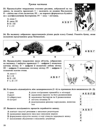 Третя частина
23. Проаналізуйте твердження стосовно рослини, зображеної на ма­
люнку, та вкажіть правильні: І - належить до родини Пасльонові;
II —квітка має п’ять пелюсток; III —на коренях формуються бульбоч­
ки з азотфіксуючими бактеріями; IV —плід — кістянка.
А лише І
Б лише III
В II і III
Г І і IV
А Б В Г
24. На малюнку зображено представників різних рядів класу Ссавці. Укажіть букву, якою
позначено представника ряду Комахоїдні.
А Б В Г
А Б В
25. Проаналізуйте твердження щодо об’єктів, зображених
на малюнку, і виберіть правильні: І — цифрою 1 позначено
плечову кістку; II — цифрою 2 позначено лобову кістку;
III — цифрою 3 позначено стегнову кістку; IV - цифрою 4
позначено плесно стопи.
А лише І
Б І і II
В II і III
Г І, II і IV
А Б В Г
2 рахіт
3 туберкульоз
4 гастрит
27. Визначте послідовність процесів сприйняття запаху.
А контакт пахучої речовини з нюховим рецептором
Б проведення нервового імпульсу нюховим нервом
В формування відчуття запаху в корі півкуль переднього мозку
Г виникнення збудження в нюховому рецепторі
А Б В Г Д
26. Установіть відповідність між захворюванням (1—4) та причиною його виникнення (А -Д ).
1 грип А різке погіршення кровообігу в міокарді
Б зараження вірусом та його розмноження
В зараження бактерією та її розмноження
Г нестача вітаміну Б
Д недотримання режиму харчування, неякісна
їжа
1
2
3
4
А Б В Г
1
2
3
4
38
 