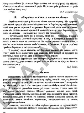чому люди брали (й сьогодні беруть) воду для пиття у річці під вербою.
Саме в таких місцях водиться й риба. Це відомо усім рибалкам, — риба
теж любить чисту воду.
170 слів За В.Скуратівським
11. «Барвінок на вінок, а полин на віник»
Барвінок оспіваний у багатьох піснях нашого народу. Він супрово­
див наших предків від колиски й до могили. У барвінку купали немовлят,
щоб вони росли гарними і здоровими. Барвінкові вінки носили дівчата:
адже він ріс біля кожної криниці й завжди був під рукою. Барвінок садо­
вили на могилах — на знак вічної пам’яті про померлих...
І хоч як давно росте він в Україні, однак він — чужинець. І назва в
нього чужинська. Сьогодні є це слово і в нас, і в білорусів, і в росіян, і в
чехів, а все ж воно не слов’янське. На латині рослина звалася вінка, а
корінь цього слова означав «обв’язувати», «ббвивати». З вінки слов’яни
зробили барвінок, а квітку взяли собі.
У давнину люди вважали, що барвінок захищає від усього злого.
Тому часто його вивішували над дверима; його ніколи не викидали на
смітник, а лише в річку, щоб він не загинув від спраги.
Ми цінуємо барвінок за його «лікарську допомогу»: з нього виготов­
ляють ліки від дуже важких хвороб. Але не менше ми цінуємо його за
витончену красу.
166 слів За А. Коваль
12. Мальви
Палахкотять біля вікон животрепетним вогнем мальви, шугають че­
рвоними язиками багаття під самісіньку стріху, того й гляди, від їхнього
полум’я загориться хата... Ніхто не знає, коли й хтО посадив їх на причіл­
ку. Мати кажуть, що ті рожі посадила колись ще бабуся у свої дівочі літа.
До пишного розмаїття мальв усі давно звикли, і стали вони не­
від’ємною частиною родини. Щороку ранньою весною з-під землі
з’являлося зелене пагіння, за кілька ночей воно виростало вище призьби,
привітно заглядало у вікна. На високих стеблах в’язалися бутони, які
наприкінці весни зацвітали червоними, світло-рожевими й темно-
пурпуровими квітами.
Здавалося, то не квіти, а якийсь чарівник розвішав на пружних паго­
нах малинові, оранжеві, сріблясті дзвоники. Вечорами, коли спадала спе­
10
D
PA
.IN
.U
A
 