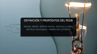 DEFINICIÓN Y PROPÓSITOS DEL PEDB
MIKAEL DREWS, MARTÍN NOVAL, NATALIA LLANO,
NATALIA VELASQUEZ Y MARIA PAZ LEITERITZ
 