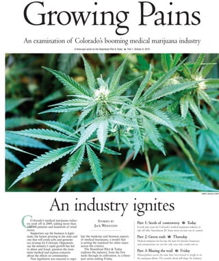 Growing Pains 
An examination of Colorado’s booming medical marijuana industry 
C 
An industry ignites 
Colorado’s medical marijuana indus-try 
took off in 2009, adding more than 
100,000 patients and hundreds of retail 
stores. 
Supporters say the business is legiti-mate, 
the fastest growing in the state and 
one that will create jobs and generate 
tax revenue for Colorado. Opponents 
say the industry’s rapid growth has led 
to abuse and fraud, question the treat-ment 
method and express concerns 
about the effects on communities. 
New legislation was enacted to regu-late 
Stories by 
Jack Weinstein 
the medicine and business aspects 
of medical marijuana, a model that 
is setting the standard for other states 
across the country. 
The Steamboat Pilot & Today 
explores the industry, from the first 
seeds through its cultivation, in a three-part 
series ending Friday. 
John F. Russell/staff 
A three-part series by the Steamboat Pilot & Today Part 1, October 6, 2010 
Part 1: Seeds of controversy Today 
It took nine years for Colorado’s medical marijuana industry to 
take off after Amendment 20. Some worry it’s now out of control. 
Part 2: Green rush Thursday 
Medical marijuana has become the basis for lucrative businesses, 
and entrepreneurs are not the only ones who could cash in. 
Part 3: Blazing the trail Friday 
Municipalities across the state have been forced to weigh in on 
the marijuana debate. The months ahead will shape the industry. 
 