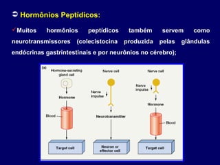  Hormônios Peptídicos:
Muitos

hormônios

neurotransmissores

peptídicos

também

(colecistocina

produzida

servem
pelas

endócrinas gastrintestinais e por neurônios no cérebro);

como

glândulas

 